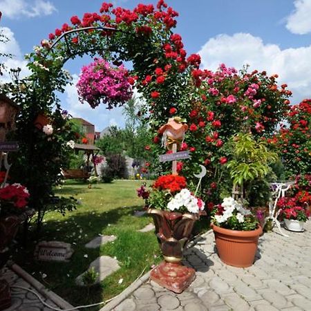 Pensiunea Sofia Hotel Temesvár Kültér fotó