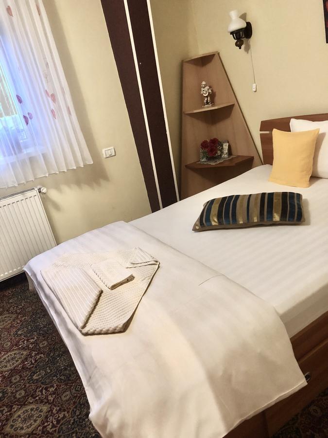 Pensiunea Sofia Hotel Temesvár Kültér fotó