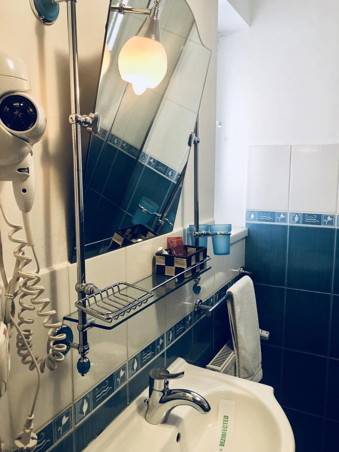 Pensiunea Sofia Temesvár Kültér fotó