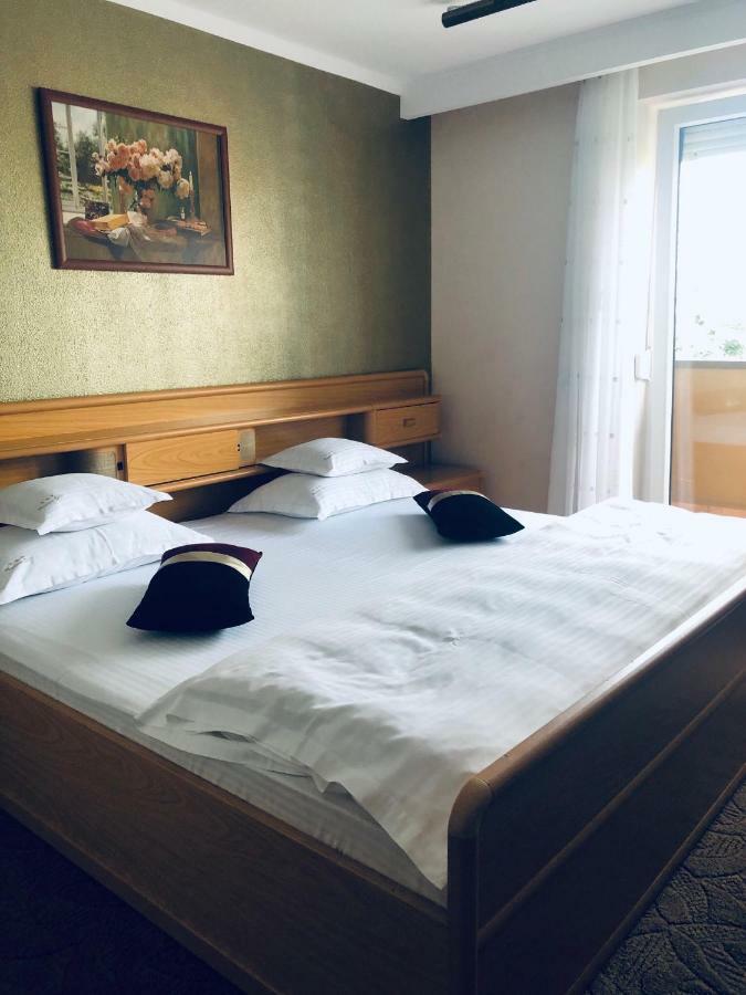 Pensiunea Sofia Hotel Temesvár Kültér fotó